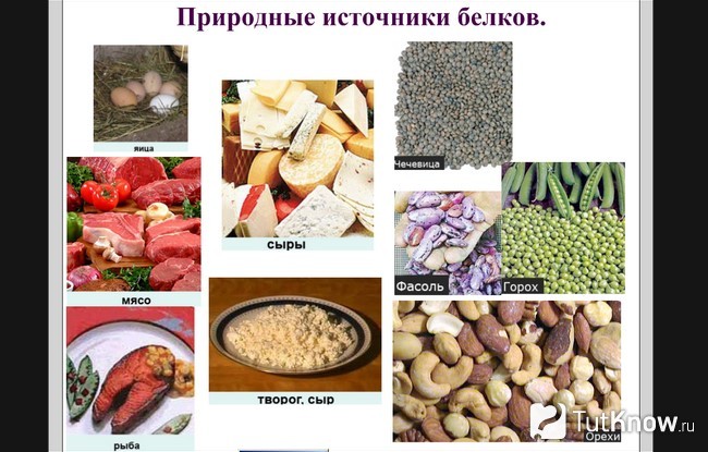 Продукты, которые содержат белки