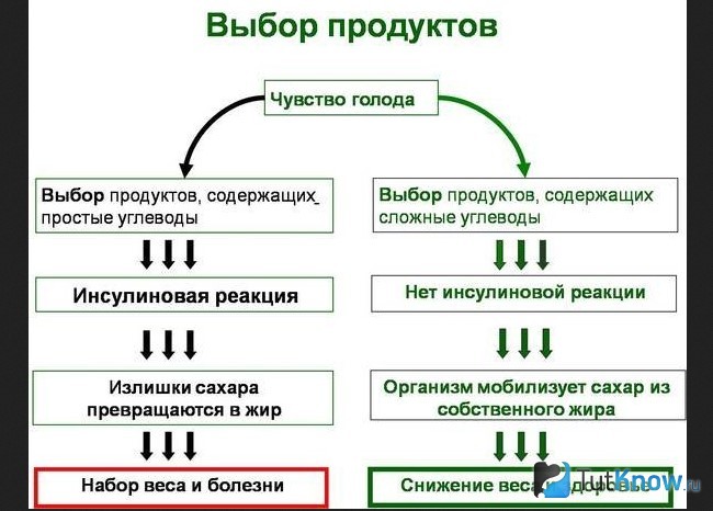 Схема действия сложных и простых углеводов