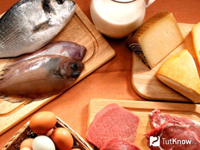 Продукты, в которых содержатся белки