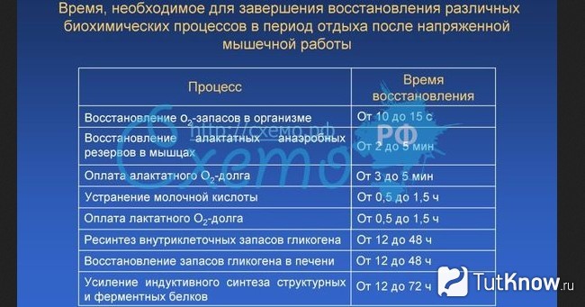 Сколько нужно времени чтобы восстановиться после. Время восстановления гликогена в мышцах. Восстановление запасов гликогена. Максимальное время восстановления запасов гликогена в мышцах. Максимальное время восстановления креатинфосфата в мышцах.