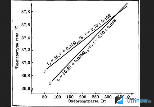 Зависимость энергозатрат от температуры тела