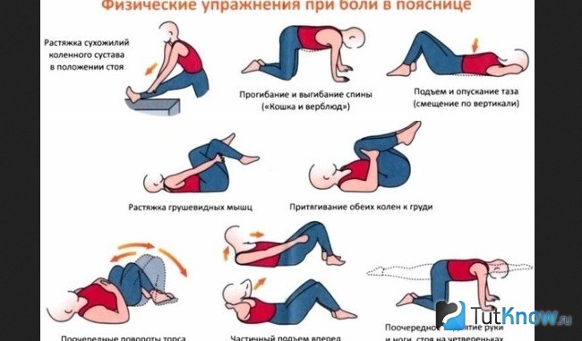 Схема выполнения упражнений при болях в пояснице