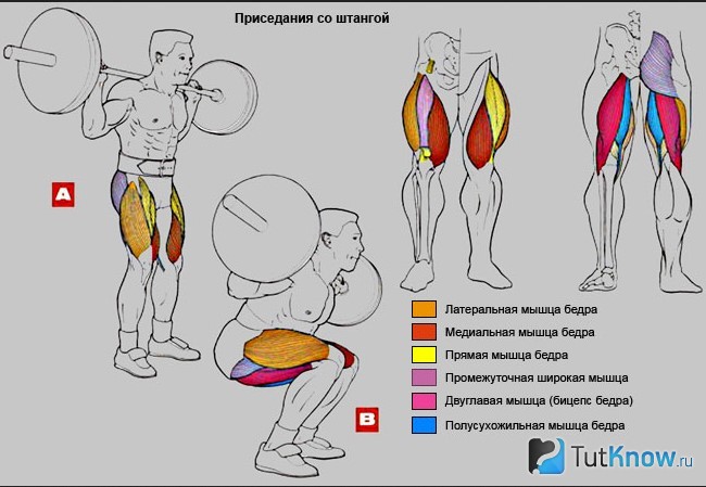 Схема приседаний для мужчин