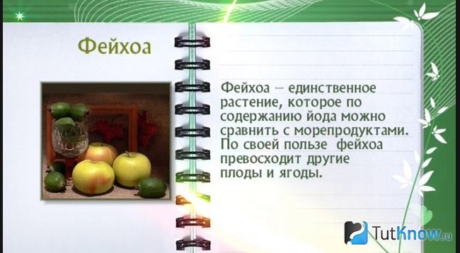 Интересный факт о фейхоа