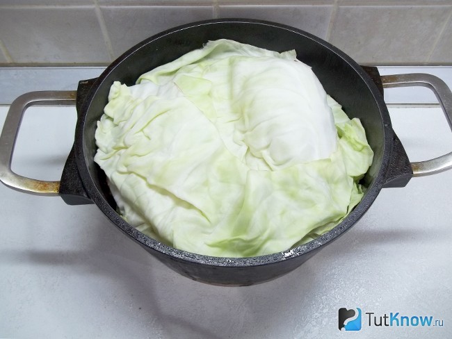Все продукты прикрыты капустными листьями
