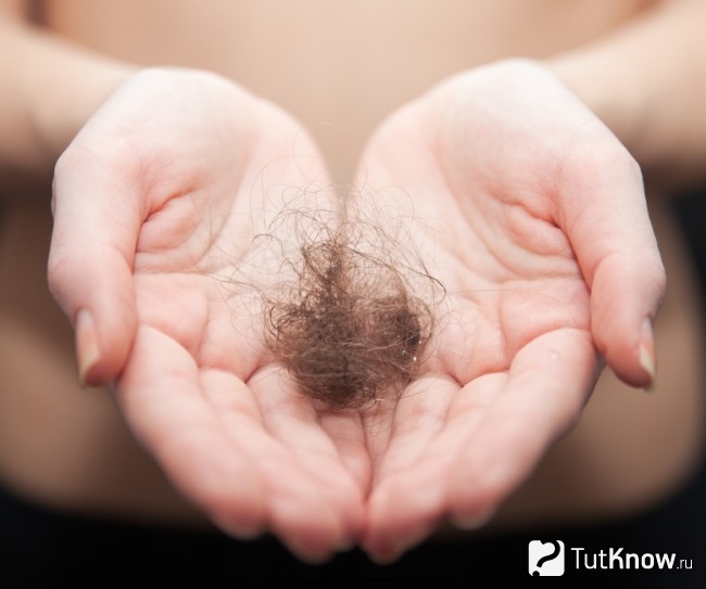 Как влияют пивные дрожжи на рост волос thumbnail