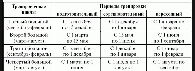 Пример годового тренировочного цикла