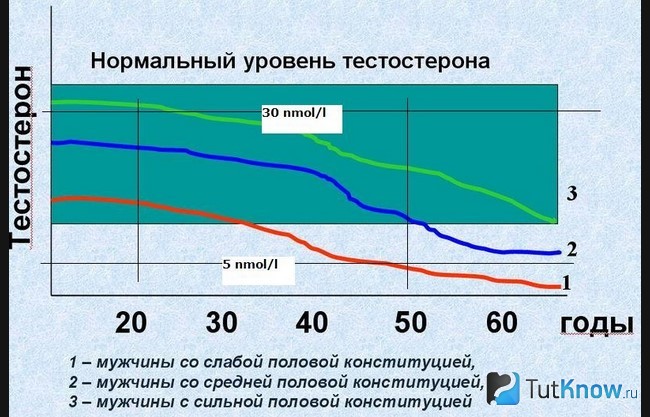 Гзт что это в бодибилдинге. Смотреть фото Гзт что это в бодибилдинге. Смотреть картинку Гзт что это в бодибилдинге. Картинка про Гзт что это в бодибилдинге. Фото Гзт что это в бодибилдинге
