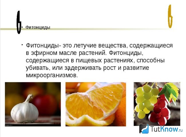 Справка о фитонцидах