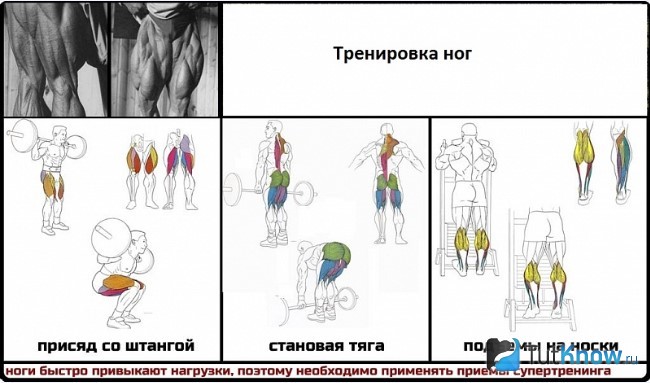 Качаем ноги в тренажерном зале для мужчин на массу