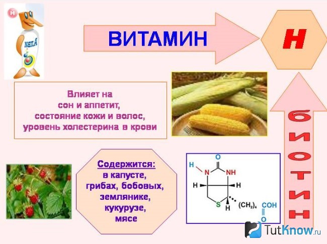 Роль биотина в организме