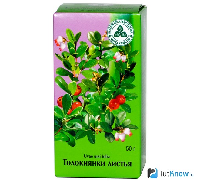 Лист толокнянки в упаковке