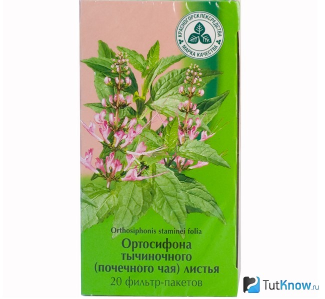 Листья ортосифона тычиночного в упаковке