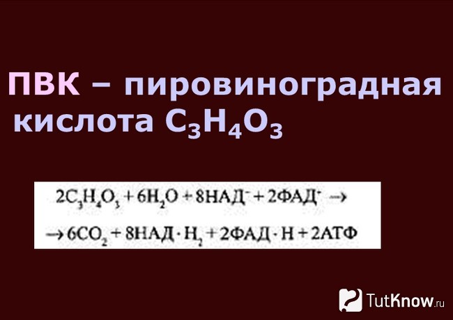 Формула пировиноградной кислоты