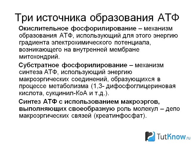 Атф что это в спорте. Смотреть фото Атф что это в спорте. Смотреть картинку Атф что это в спорте. Картинка про Атф что это в спорте. Фото Атф что это в спорте