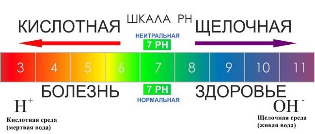 Влияние кислотно-щелочного баланса на здоровье
