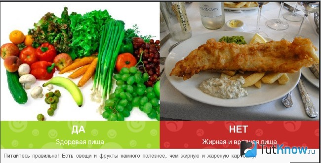 Полезная и вредная еда
