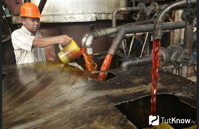 Производство пальмового масла