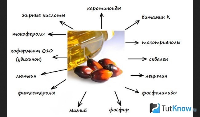 Полезные вещества в пальмовом масле
