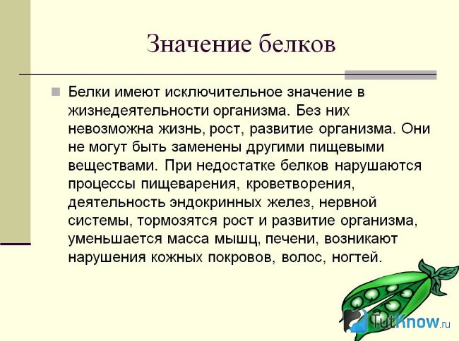 Пояснение значения белков в организме