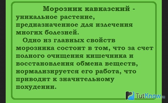 http://tutknow.ru/uploads/posts/2016-05/1464204533_upotreblenie-kavkazskogo-moroznika.jpg