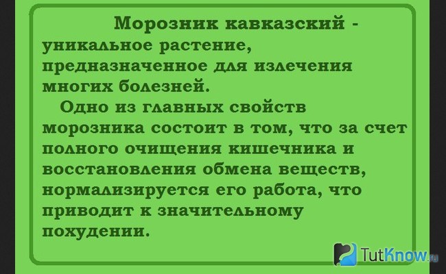 Справка о свойствах кавказского морозника