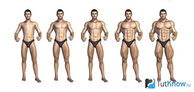 Постепенный набор массы хардгейнера