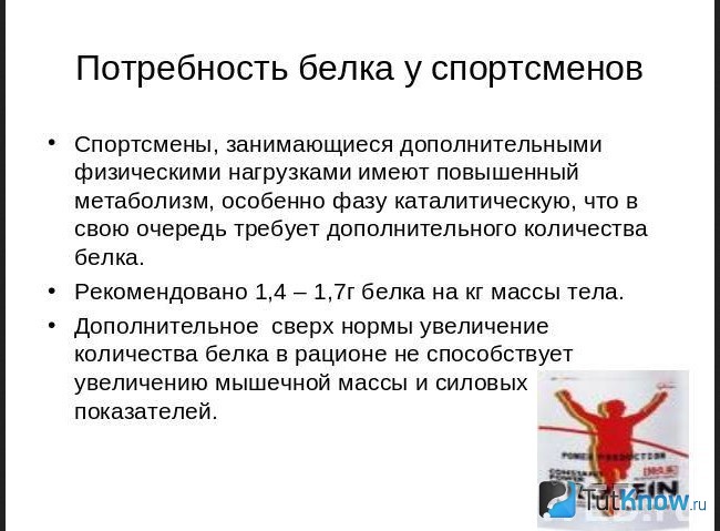 Справка о потребности белков у спортсменов