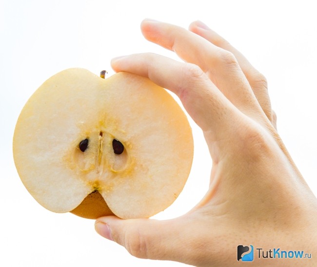 nashi pear что это. Смотреть фото nashi pear что это. Смотреть картинку nashi pear что это. Картинка про nashi pear что это. Фото nashi pear что это