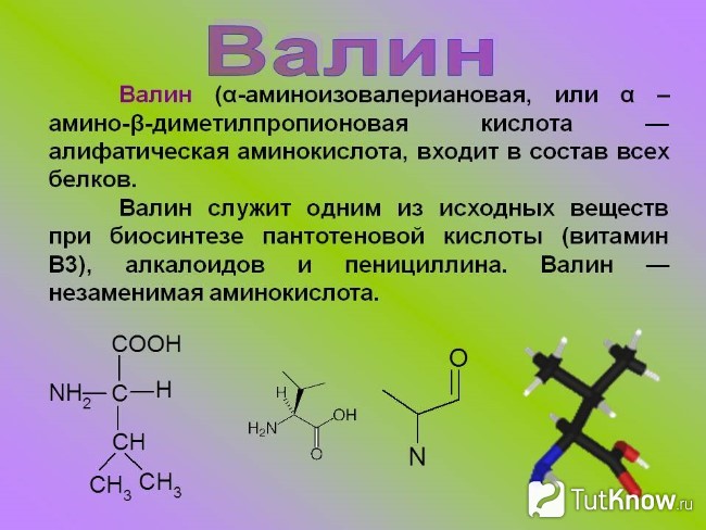 Справка о валине