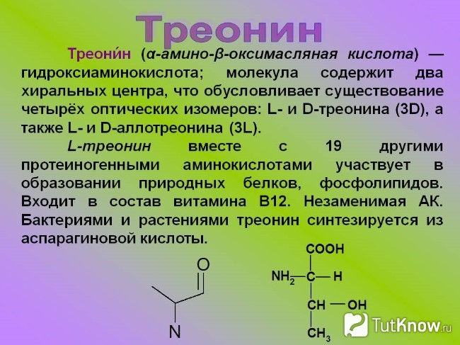 Справка о треонине