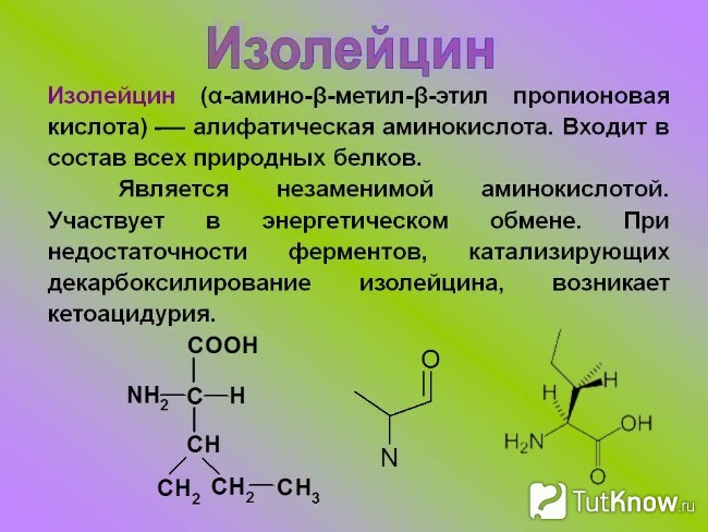Справка об изолейцине