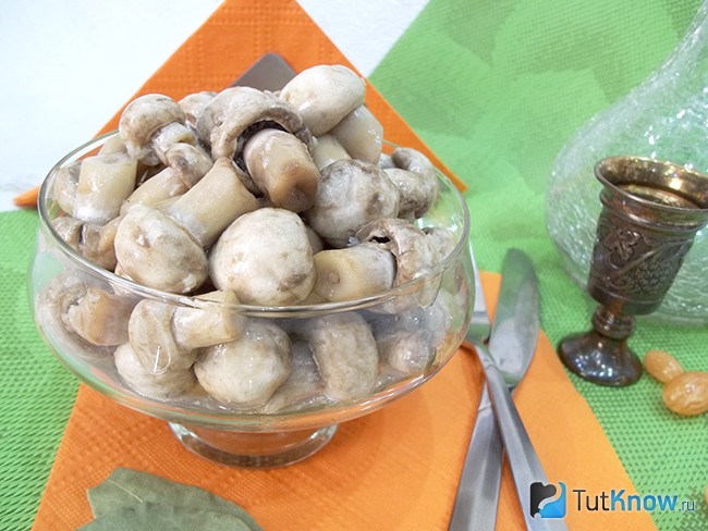 Готовая закуска