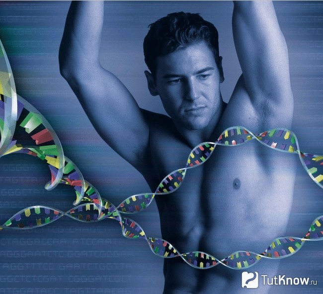 Спортсмен и цепи ДНК