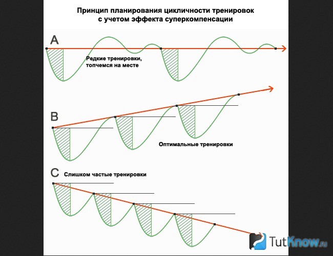 Схема планирования цикличности тренировок с суперкомпенсацией