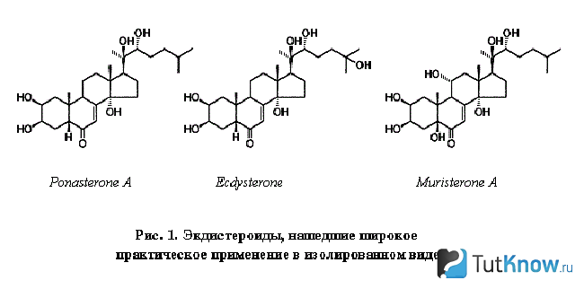 Формулы экдистероидов