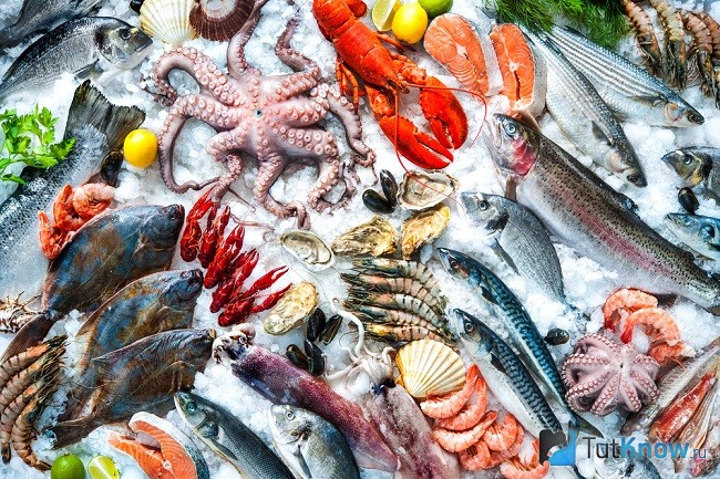 Морепродукты