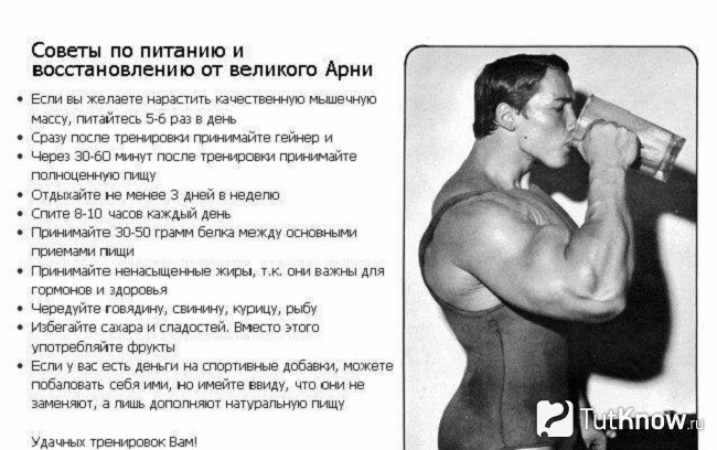 Правила питания и восстановления после тренировки