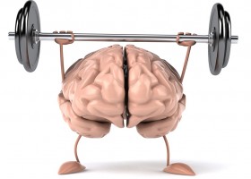 Мозг для развития мышц в бодибилдинге