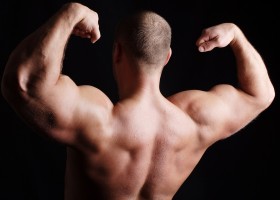 Андрогенные гормоны и рост мышц