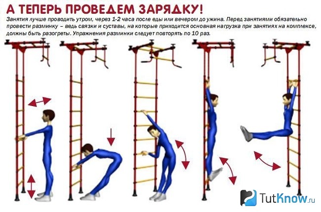 Схема упражнений на шведской стенке для взрослых