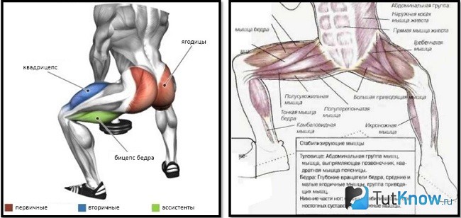 присед сумо с гантелей какие мышцы. Смотреть фото присед сумо с гантелей какие мышцы. Смотреть картинку присед сумо с гантелей какие мышцы. Картинка про присед сумо с гантелей какие мышцы. Фото присед сумо с гантелей какие мышцы