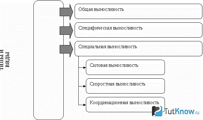Таблица типов выносливости