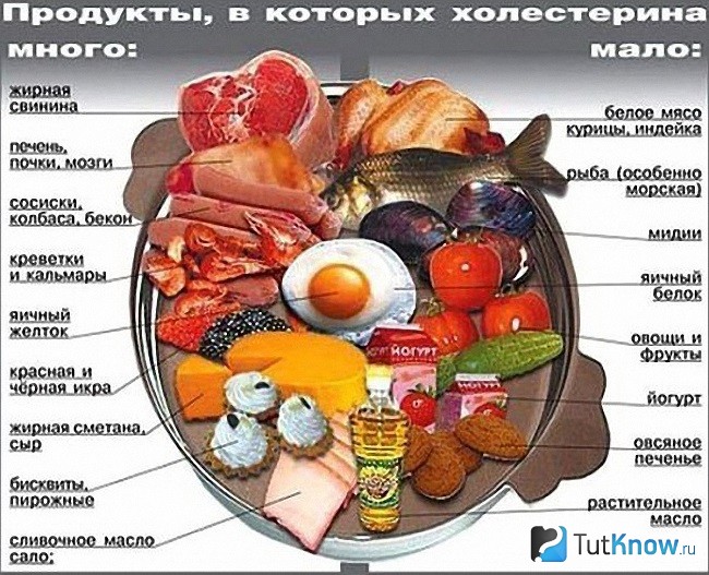 Продукты, содержащие много и мало холестерина