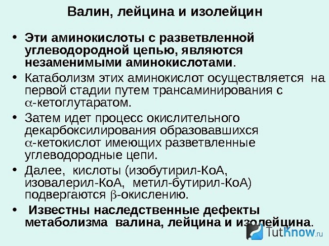 Справка о БЦА