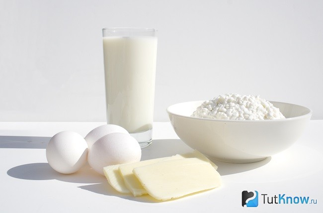 Продукты с высоким содержанием белка