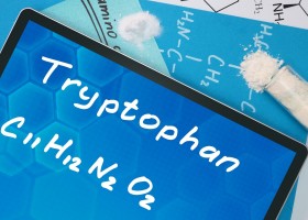 Аминокислота триптофан в бодибилдинге