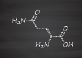Глутаминовая аминокислота в бодибилдинге