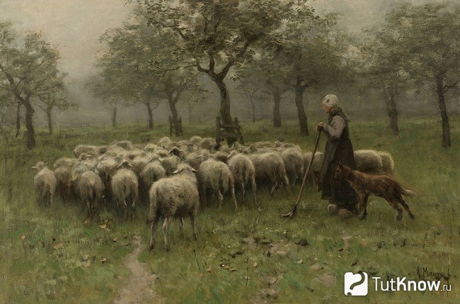 Хердер, изображенный на картине с овцами