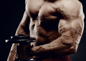Программа тренировок грудных мышц с гантелями для мужчин